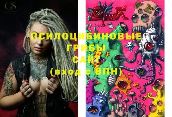 спайс Белокуриха