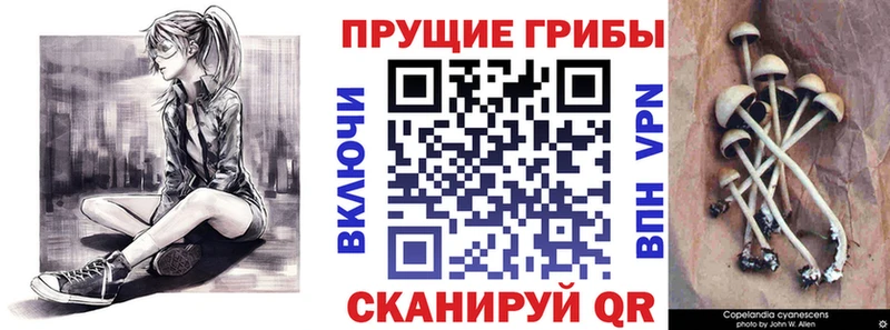 продажа наркотиков  Наволоки  Галлюциногенные грибы ЛСД 